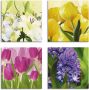 Artland Artprint op linnen Tulpen lelies hyacint set van 4 verschillende maten (4-delig) - Thumbnail 1