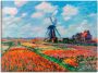 Artland Artprint op linnen Tulpenvelden in Nederland 1886 - Thumbnail 1