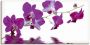 Artland Artprint op linnen Violette orchideeën gespannen op een spieraam - Thumbnail 1