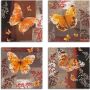 Artland Artprint op linnen Vlinder 1-4 set van 4 verschillende maten (4-delig) - Thumbnail 1