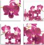 Artland Artprint op linnen Vlinderorchidee set van 4 verschillende maten (4-delig) - Thumbnail 1
