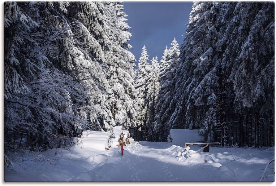 Artland Artprint op linnen Winter in het Thüringer Woud II