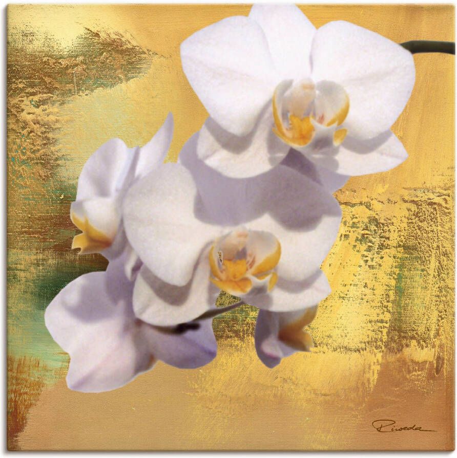 Artland Artprint op linnen Witte orchidee II gespannen op een spieraam