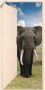 Artland Artprint Open witte deur met blik op olifant als artprint op linnen poster muursticker in verschillende maten - Thumbnail 1