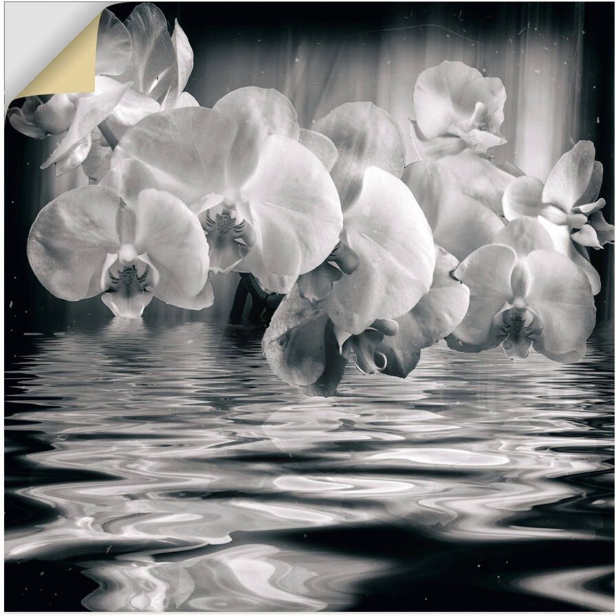 Artland Artprint Orchideeën monochroom als artprint op linnen muursticker in verschillende maten