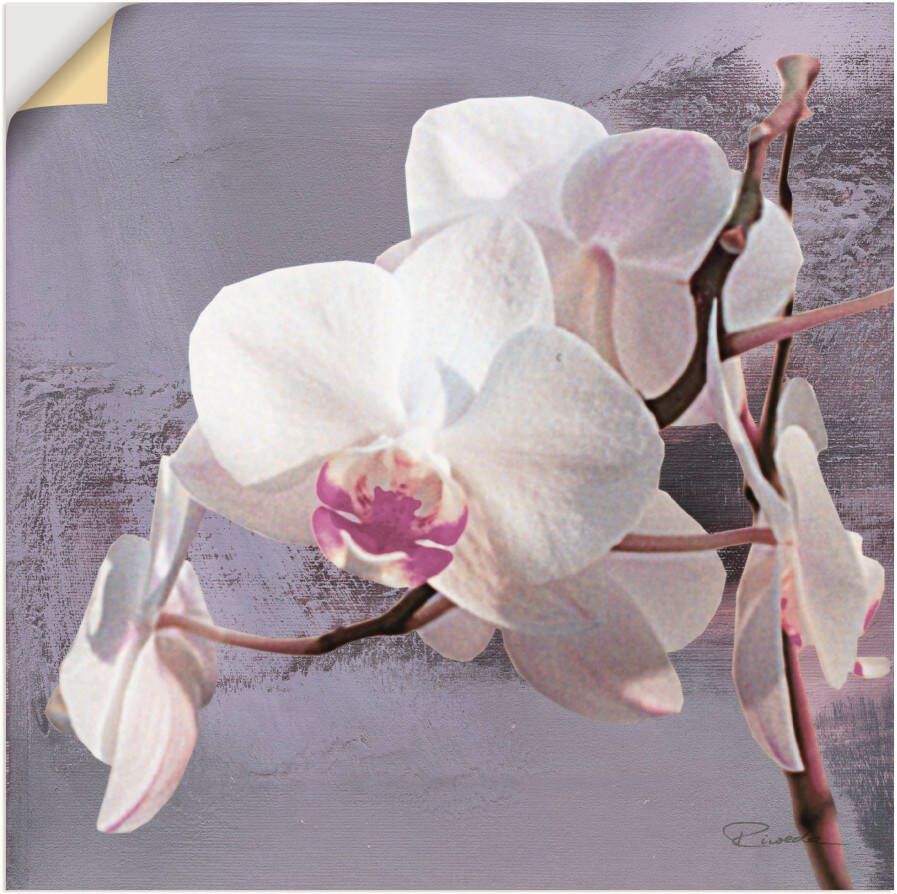 Artland Artprint Orchideeën voor violet I als artprint van aluminium artprint voor buiten artprint op linnen poster muursticker