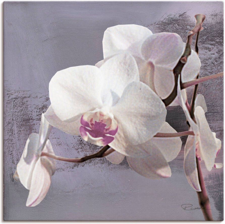 Artland Artprint Orchideeën voor violet I als artprint van aluminium artprint voor buiten artprint op linnen poster muursticker