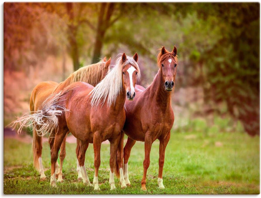 Artland Artprint Paarden in de velden I als artprint op linnen poster muursticker in verschillende maten