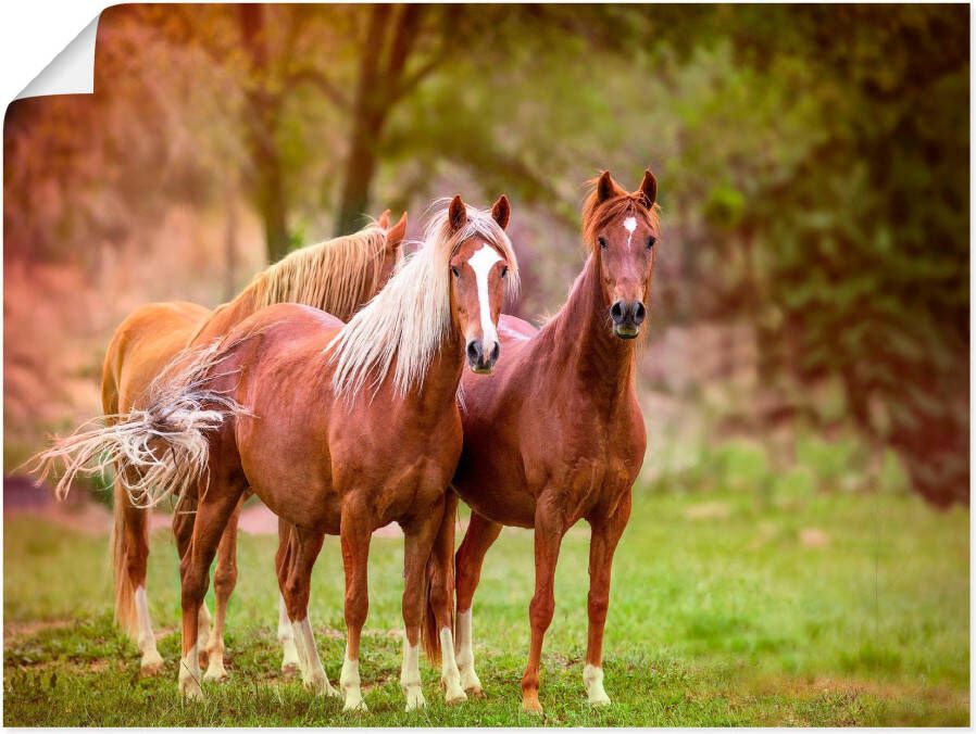 Artland Artprint Paarden in de velden I als artprint op linnen poster muursticker in verschillende maten