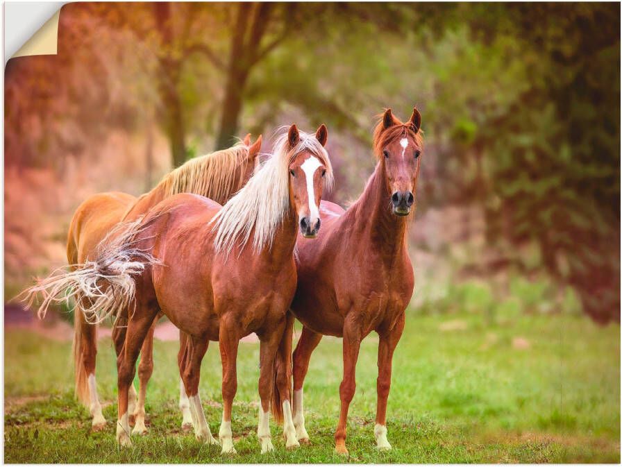 Artland Artprint Paarden in de velden I als artprint op linnen poster muursticker in verschillende maten