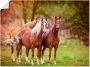 Artland Artprint Paarden in de velden I als artprint op linnen poster muursticker in verschillende maten - Thumbnail 1