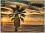 Artland Artprint Palm bij zonsondergang als artprint op linnen poster in verschillende formaten maten - Thumbnail 1