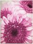 Artland Wandfolie Pinkkleurige gerbera - Thumbnail 1