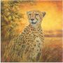 Artland Artprint Portret cheeta als artprint van aluminium artprint voor buiten poster in diverse formaten - Thumbnail 1