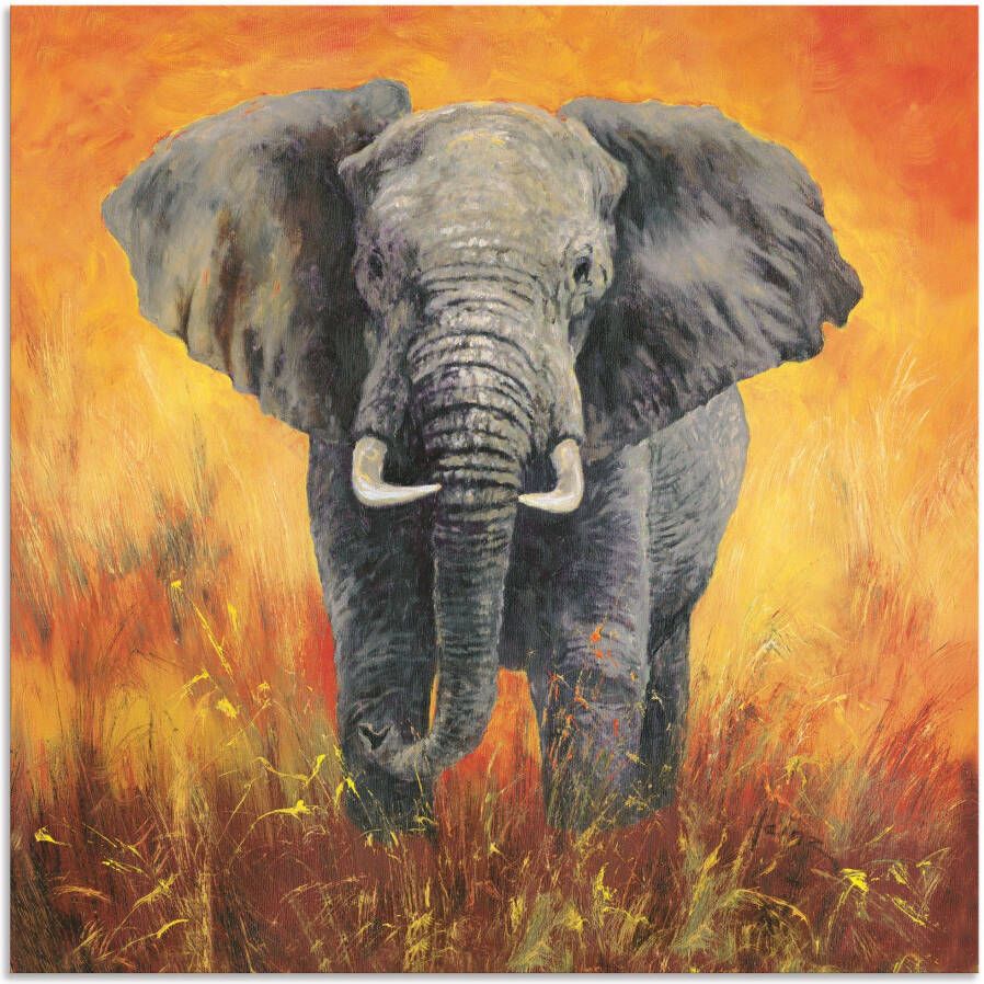 Artland Artprint Portret olifant als artprint van aluminium artprint voor buiten artprint op linnen in verschillende maten