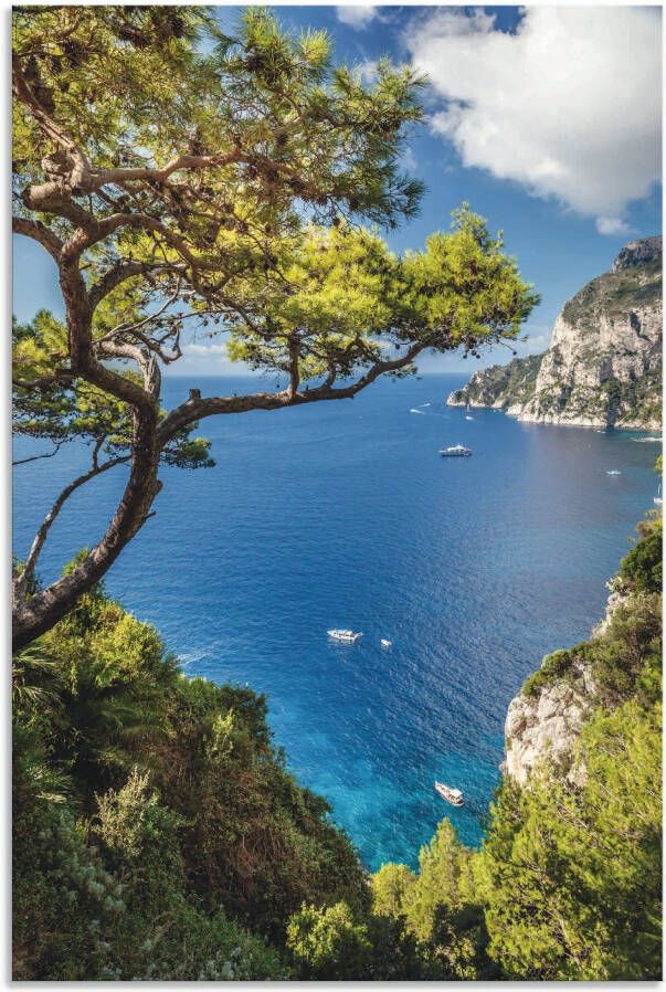 Artland Artprint Punta de Masullo eiland capri Italië als artprint van aluminium artprint voor buiten artprint op linnen poster muursticker - Foto 1