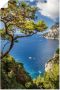 Artland Artprint Punta de Masullo eiland capri Italië als artprint van aluminium artprint voor buiten artprint op linnen poster muursticker - Thumbnail 1