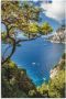 Artland Artprint Punta de Masullo eiland capri Italië als artprint van aluminium artprint voor buiten artprint op linnen poster muursticker - Thumbnail 1