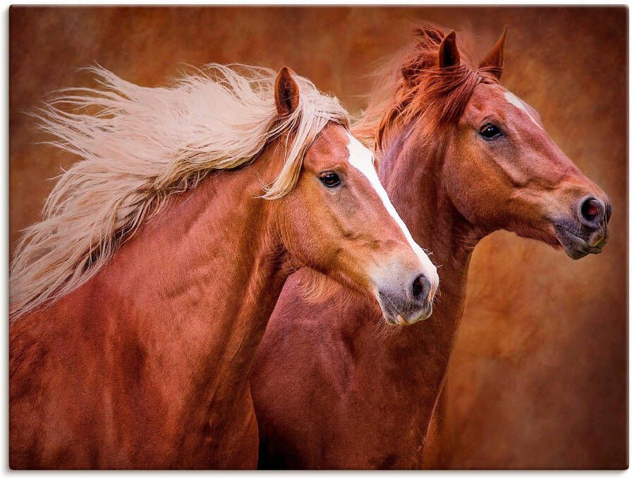 Artland Artprint Raszuivere paarden I als artprint op linnen poster muursticker in verschillende maten