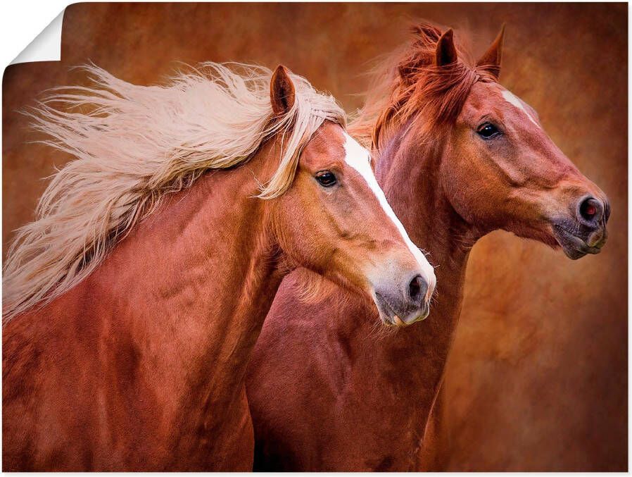 Artland Artprint Raszuivere paarden I als artprint op linnen poster muursticker in verschillende maten - Foto 1