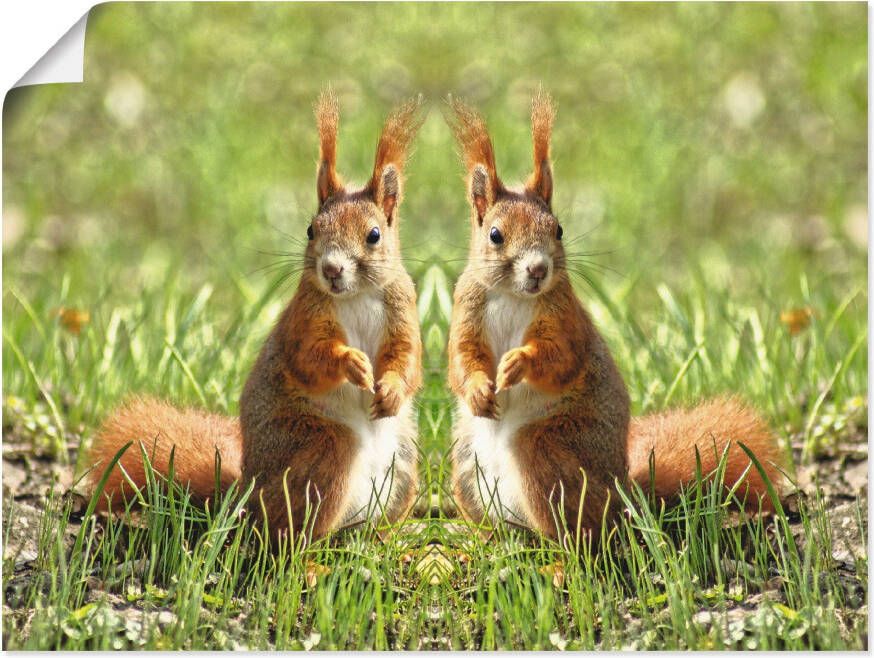 Artland Artprint Rood eekhoorntje tweelingen als artprint op linnen poster in verschillende formaten maten