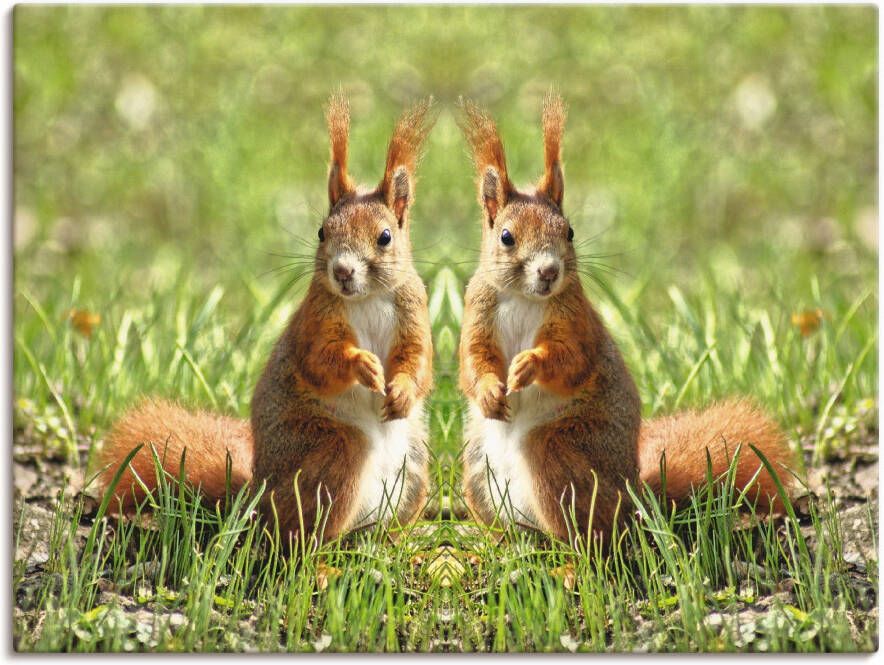 Artland Artprint Rood eekhoorntje tweelingen als artprint op linnen poster in verschillende formaten maten