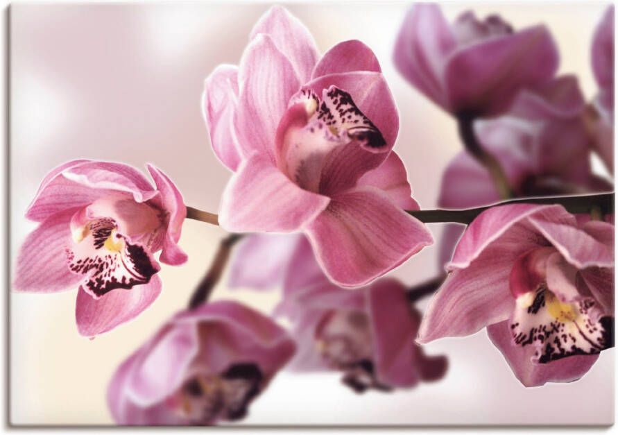 Artland Artprint Roze orchidee als artprint van aluminium artprint voor buiten artprint op linnen poster muursticker