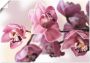 Artland Artprint Roze orchidee als artprint van aluminium artprint voor buiten artprint op linnen poster muursticker - Thumbnail 1