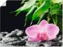 Artland Artprint Roze orchidee op zwarte zen stenen als artprint op linnen poster in verschillende formaten maten - Thumbnail 1