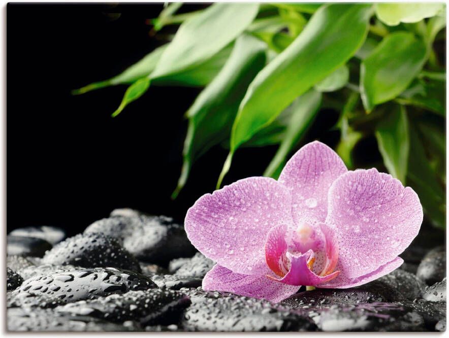 Artland Artprint Roze orchidee op zwarte zen stenen als artprint op linnen poster in verschillende formaten maten