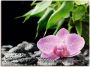 Artland Artprint Roze orchidee op zwarte zen stenen als artprint op linnen poster in verschillende formaten maten - Thumbnail 1