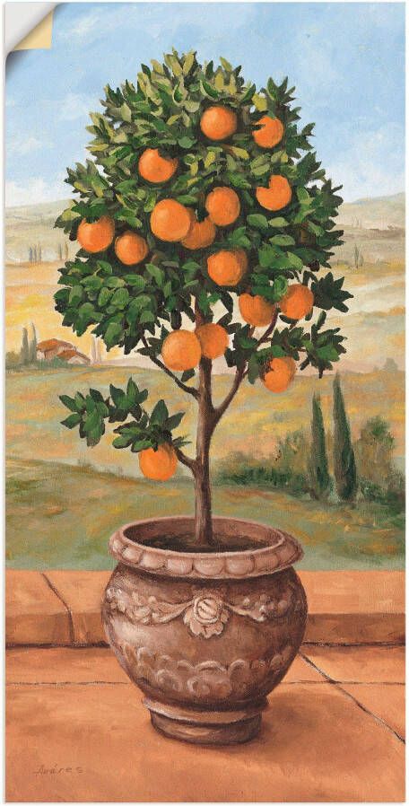 Artland Artprint Sinaasappelboompje als artprint op linnen muursticker in verschillende maten