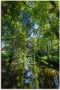 Artland Wandfolie SPREEWALD boottocht door de rivier - Thumbnail 1