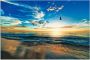 Artland Artprint Strand meeuwen zee zonsondergang als artprint van aluminium artprint voor buiten artprint op linnen poster muursticker - Thumbnail 1