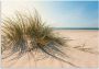 Artland Artprint Strandgras als artprint van aluminium artprint voor buiten artprint op linnen poster muursticker - Thumbnail 1