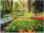 Artland Artprint Tulpenbloesem Tulpen tuin voorjaar als artprint van aluminium artprint voor buiten artprint op linnen poster muursticker - Thumbnail 1