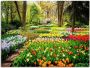 Artland Artprint Tulpenbloesem Tulpen tuin voorjaar als artprint van aluminium artprint voor buiten artprint op linnen poster muursticker - Thumbnail 1