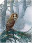 Artland Artprint Uil in ondergesneeuwd bos als artprint op linnen poster in verschillende formaten maten - Thumbnail 1