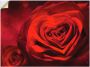 Artland Artprint Valentijnsuitnodiging met harten en rozen als artprint op linnen poster muursticker in verschillende maten - Thumbnail 1