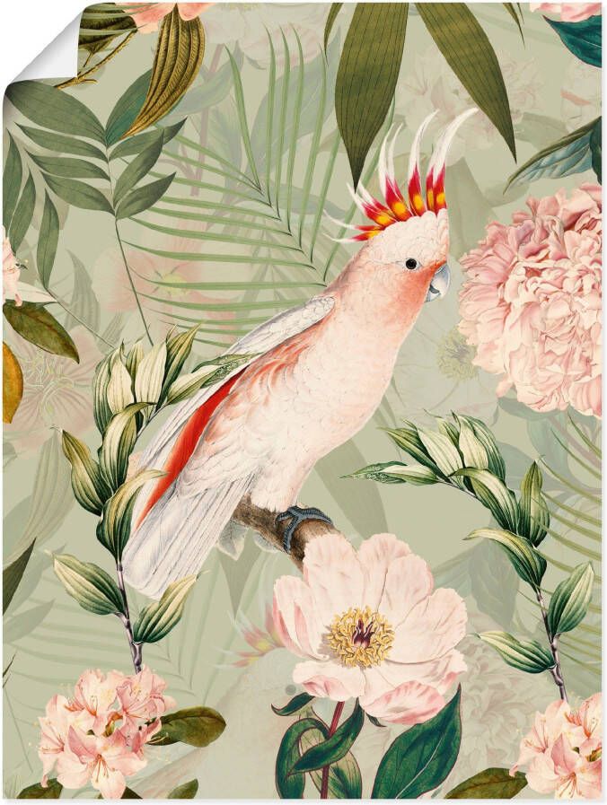 Artland Artprint Vintage papegaai als artprint van aluminium artprint voor buiten artprint op linnen poster in verschillende maten. maten