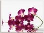Artland Artprint op linnen Vlinderorchidee gespannen op een spieraam - Thumbnail 1