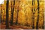 Artland Artprint Wandeling in herfstbos als artprint van aluminium artprint voor buiten artprint op linnen poster in verschillende maten. maten - Thumbnail 1