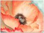 Artland Artprint Waterverf papaver II als artprint op linnen in verschillende maten - Thumbnail 1