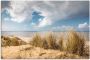 Artland Artprint Weg door de duinen bij de rode klif als artprint van aluminium artprint voor buiten artprint op linnen poster in verschillende maten. maten - Thumbnail 1