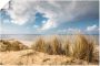 Artland Artprint Weg door de duinen bij de rode klif als artprint van aluminium artprint voor buiten artprint op linnen poster in verschillende maten. maten - Thumbnail 1