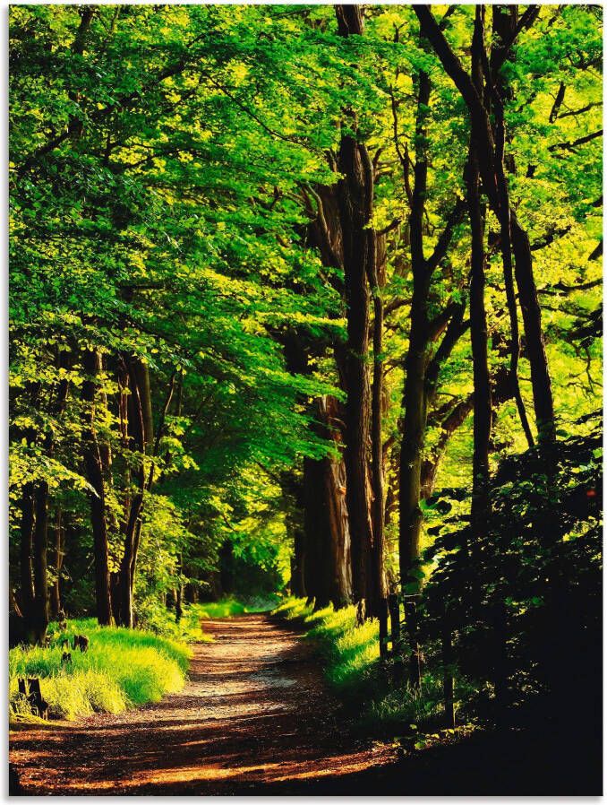 Artland Artprint Weg in het bos als artprint van aluminium artprint voor buiten artprint op linnen poster in verschillende maten. maten