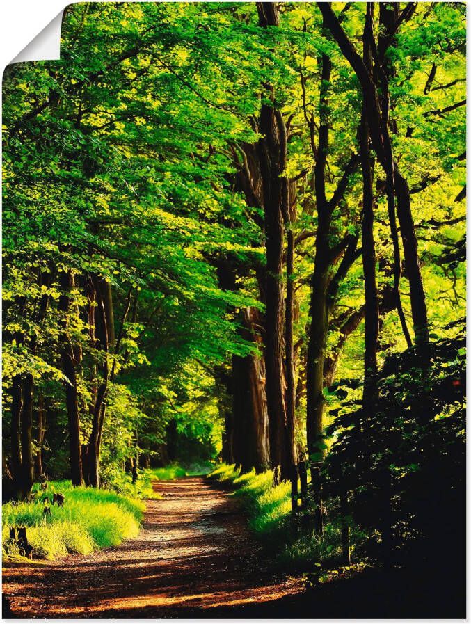 Artland Artprint Weg in het bos als artprint van aluminium artprint voor buiten artprint op linnen poster in verschillende maten. maten