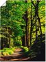 Artland Artprint Weg in het bos als artprint van aluminium artprint voor buiten artprint op linnen poster in verschillende maten. maten - Thumbnail 1