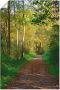 Artland Artprint Weg in het herfstbos als poster muursticker in verschillende maten - Thumbnail 1