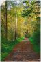 Artland Artprint Weg in het herfstbos als poster muursticker in verschillende maten - Thumbnail 1